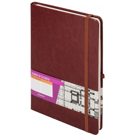 Notes Antra Formalizm A4/96/80g kratka, Brązowy